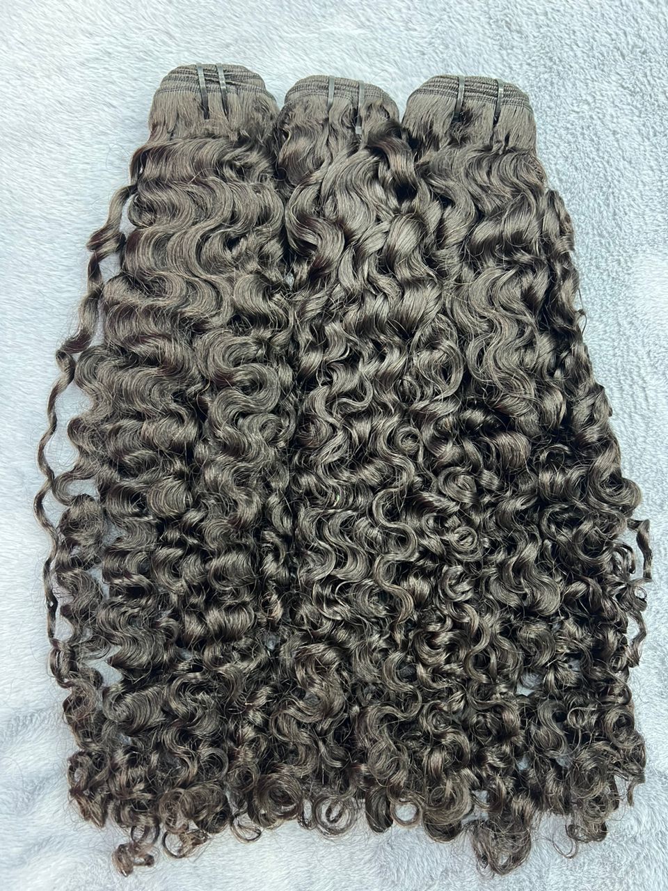 Burmese Curly